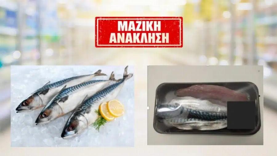 Ανακαλούνται ψάρια από τα ψυγεία σούπερ μάρκετ – Μην τα καταναλώσετε