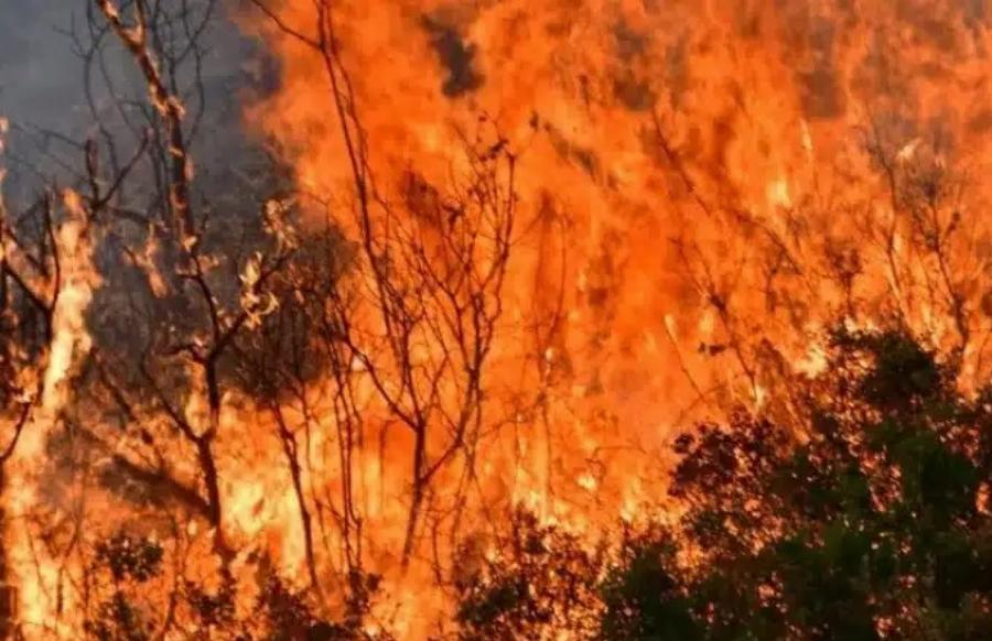 EKTAKTO ΦΩΤΙΑ ΤΩΡΑ ΣΤΗΝ ΑΤΤΙΚΗ