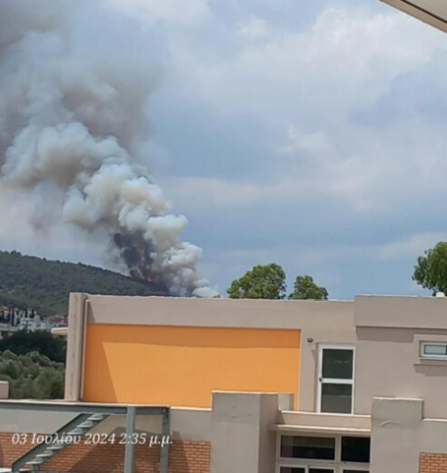 Νέα επικίνδυνη φωτιά τώρα στην Αττική – Συναγερμός στην Πυροσβεστική, σηκώθηκαν εναέρια μέσα