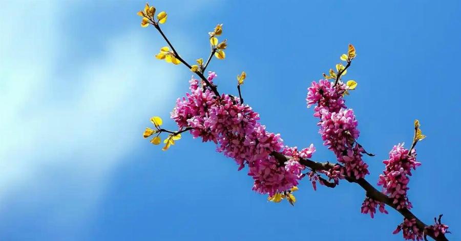 Τάσος Αρνιακός: Ο καιρός τη Μεγάλη Εβδομάδα και το Πάσχα – Πού και πότε θα βρέξει