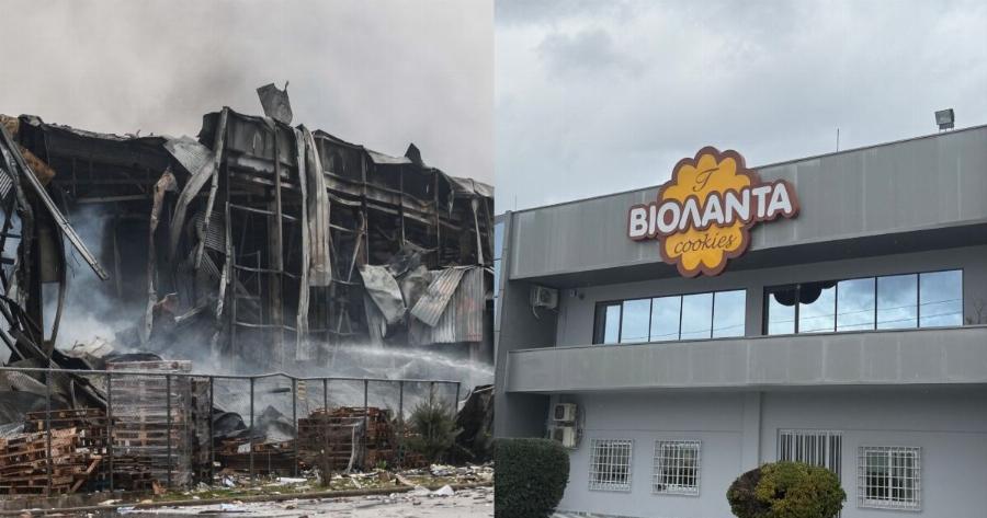 Η απόφαση που έσωσε ζωές στη Βιολάντα: Γιατί δούλευαν μόνο 12 άτομα τη νύχτα της έκρηξης