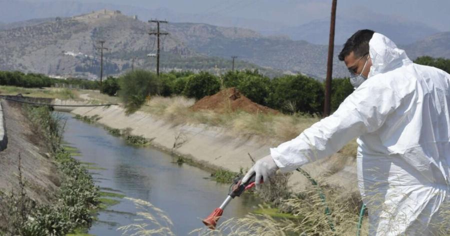 ΣYNAΓEPMOΣ ΣΤΗΝ ΕΛΛΑΔΑ