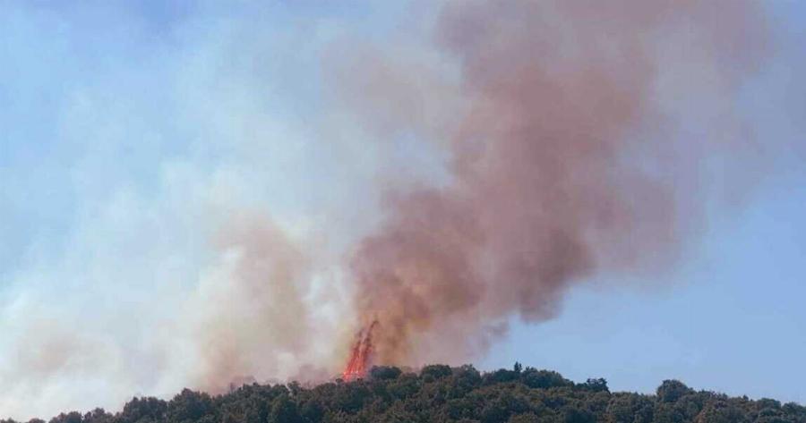 Νέα φωτιά τώρα στη χώρα μας – Ισχυρές πυροσβεστικές δυνάμεις στο σημείο