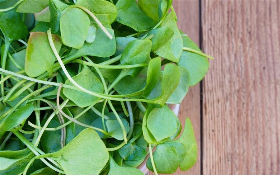 Γνωρίστε το αρχαιότερο λαχανικό που ενισχύει την όραση, δυναμώνει τα οστά και προλαμβάνει τον καρκίνο