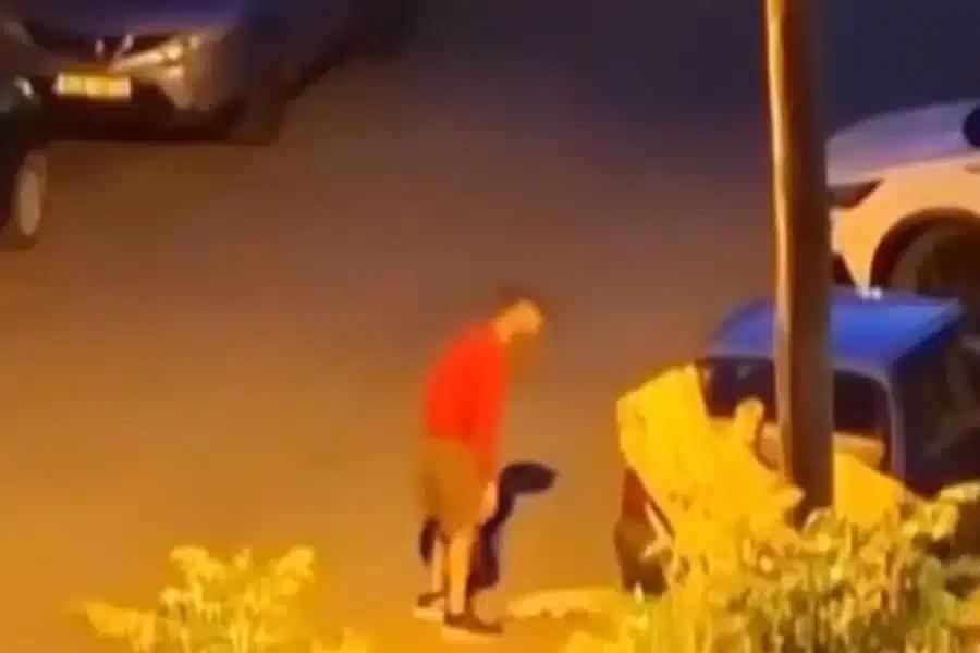 Στον εισαγγελέα οδηγήθηκε το πρωί της Τετάρτης (4.6.25) ο 34χρονος που κλώτσnσε γατάκι κι έπειτα το πάτnσε με το αυτοκίνητό του στην Καλαμαριά