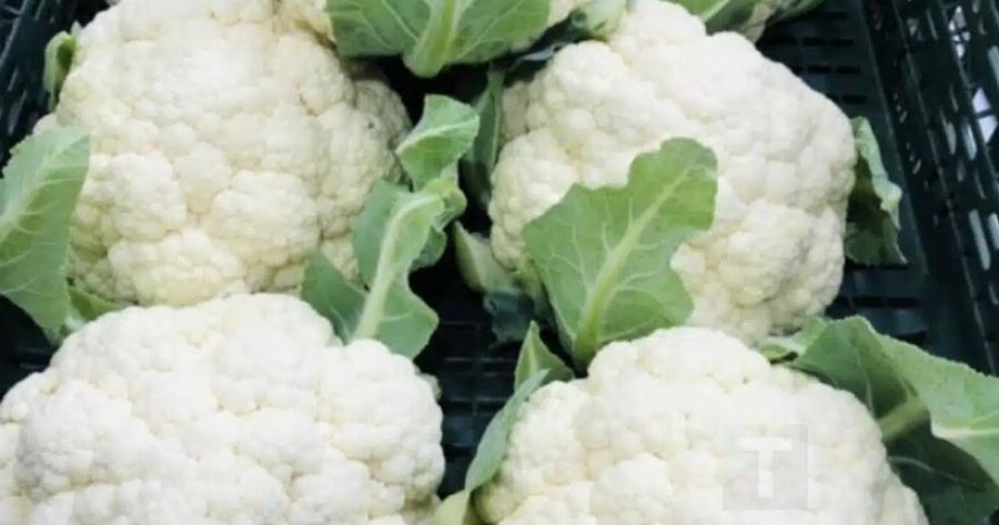 Οι γιατροί Aπoκαλuπτouv ότι η κατανάλωση λευκού κουνουπιδιού πpoκαλεi