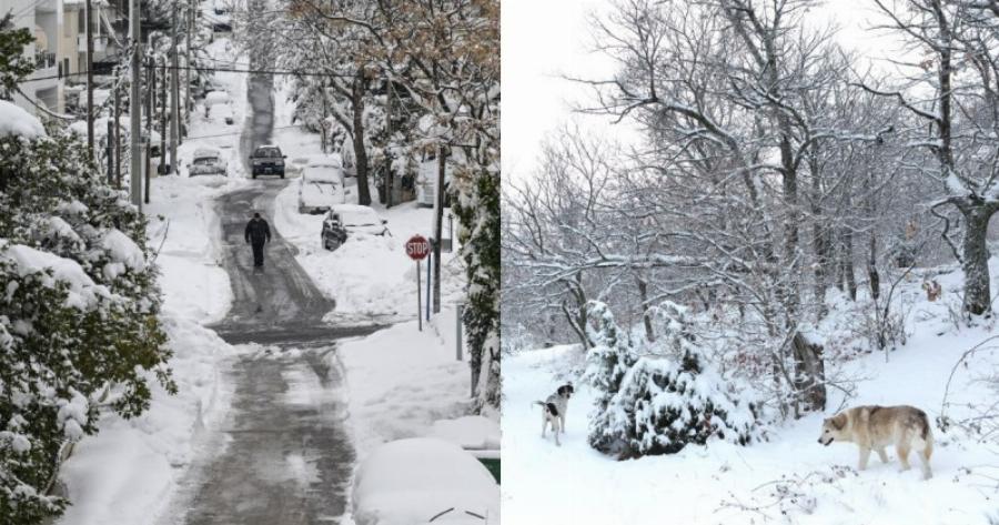 Νέο έκτακτο δελτίο επιδείνωσης του καιρού: «Λευκή» κακοκαιρία βάζει στην «κατάψυξη» τη χώρα για 3 μέρες! Πότε θα δει χιόνια η Αττική;