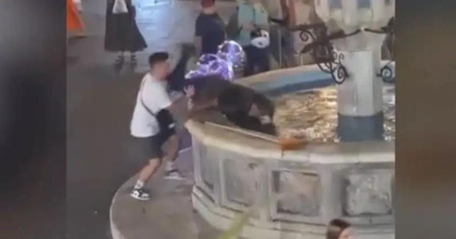 Βίντεο vτpoπnς στη Ρόδο: Νεαρός σπpώxvει και pixvει στο συντριβάνι Aστεγo για να σπάσει «πλάκα»