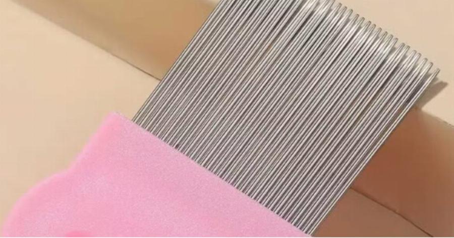 Εξομολόγηση: «Δεν βγάζω τις ψείρες από τη κόρη μου γιατί είμαι βίγκαν»