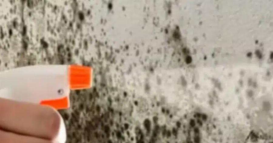 Πώς να αφαιρέσετε την υγρασία από τους τοίχους ώστε να μην επιστρέψει ποτέ