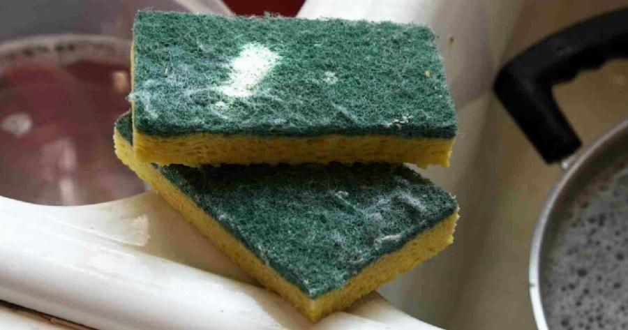 Γιατί πρέπει να κόβουμε μια γωνία από το σφουγγάρι των πιάτων