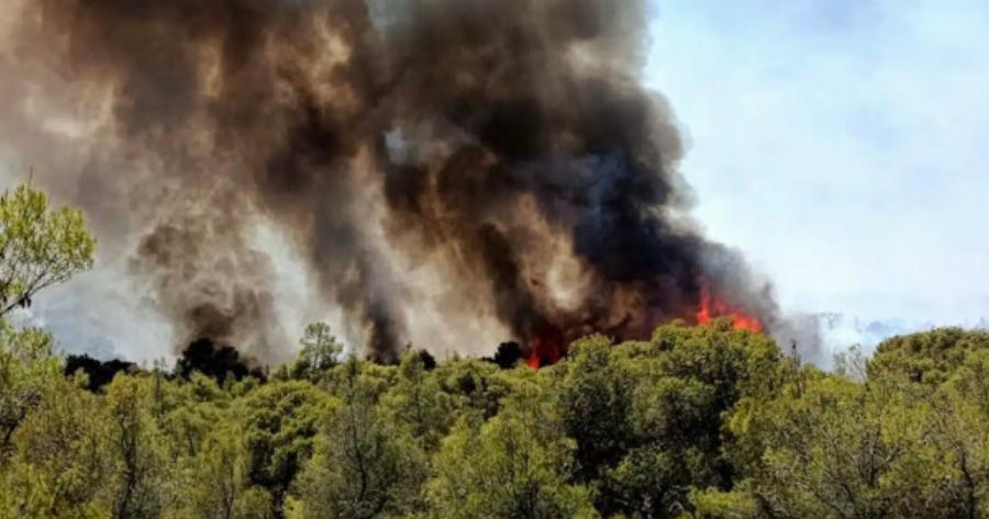 Μεγάλη φωτιά τώρα – Έχουν σπεύσει 14 πυροσβέστες με 7 οχήματα, 2 αεροπλάνα και 2 ελικόπτερα