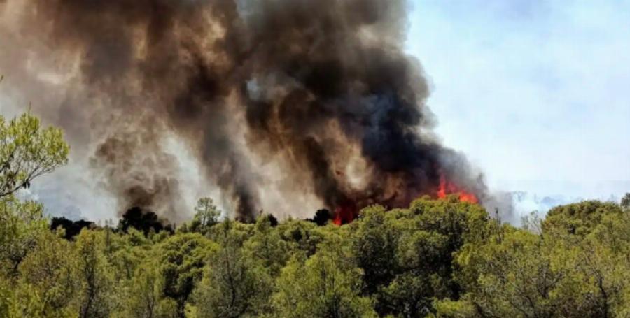 Μεγάλη φωτιά τώρα – Έχουν σπεύσει 14 πυροσβέστες με 7 οχήματα, 2 αεροπλάνα και 2 ελικόπτερα