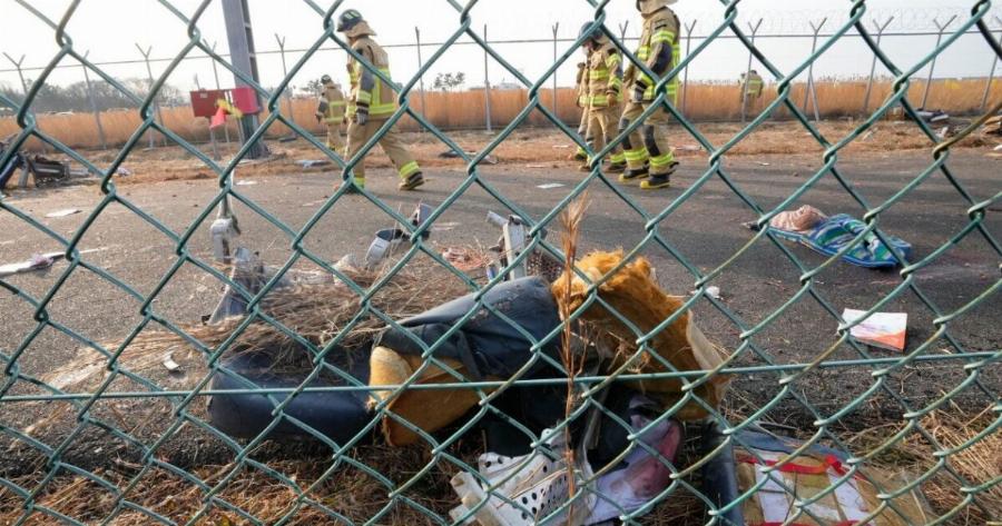 Ανατροπή με την πτήση στη Νότια Κορέα: «Δεν ευθύνονται τα πουλιά» λένε οι ειδικοί