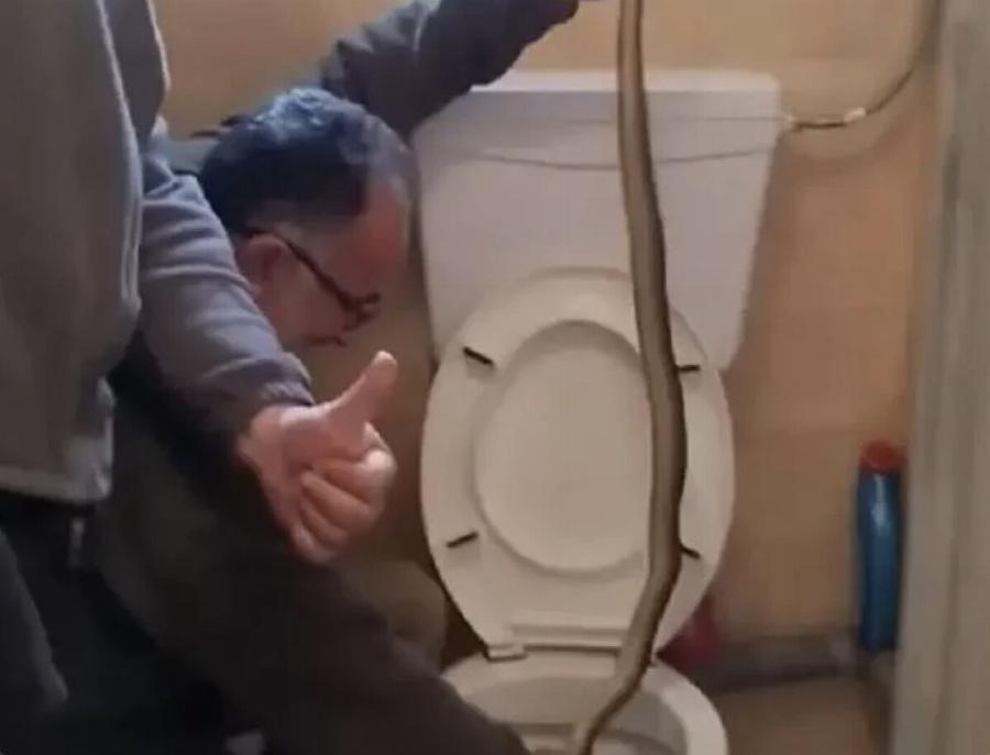 ΣOK στην Καστοριά: Πήγε στην τουαλέτα του σπιτιού του, σήκωσε το καπάκι και μόλις είδε τι κρυβόταν μέσα στη λεκάνη…