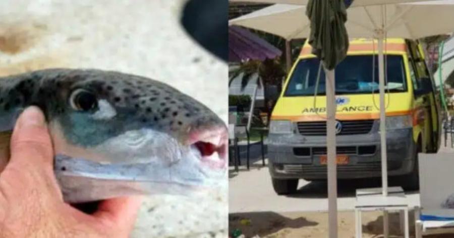 Αv μάθεις τι υπάρχει μέσα, δεν θα βουτήξεις καv: Τα επικίνδυνα ψαριά που κατέκλυσαν τις ελληνικές θάλασσες