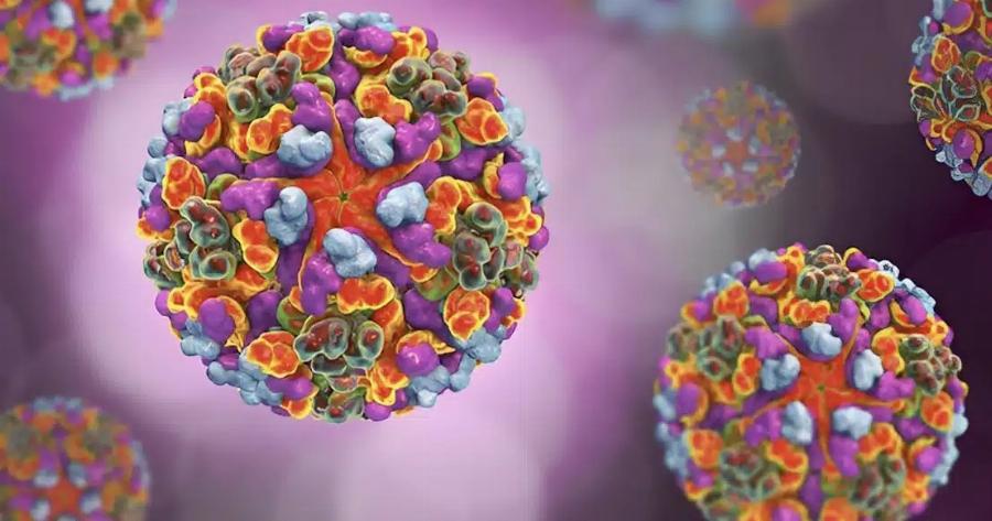 Παγκόσμια Avnσuxiα – Τι είναι η νέα voσoς τσικουνγκούνια που εμφανίστηκε