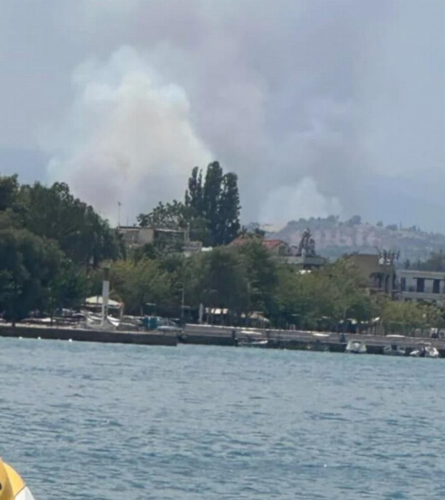 Μεγάλη φωτιά τώρα στην Αττική κοντά σε σπίτια – Έτοιμοι για εκκένωση οι κάτοικοι