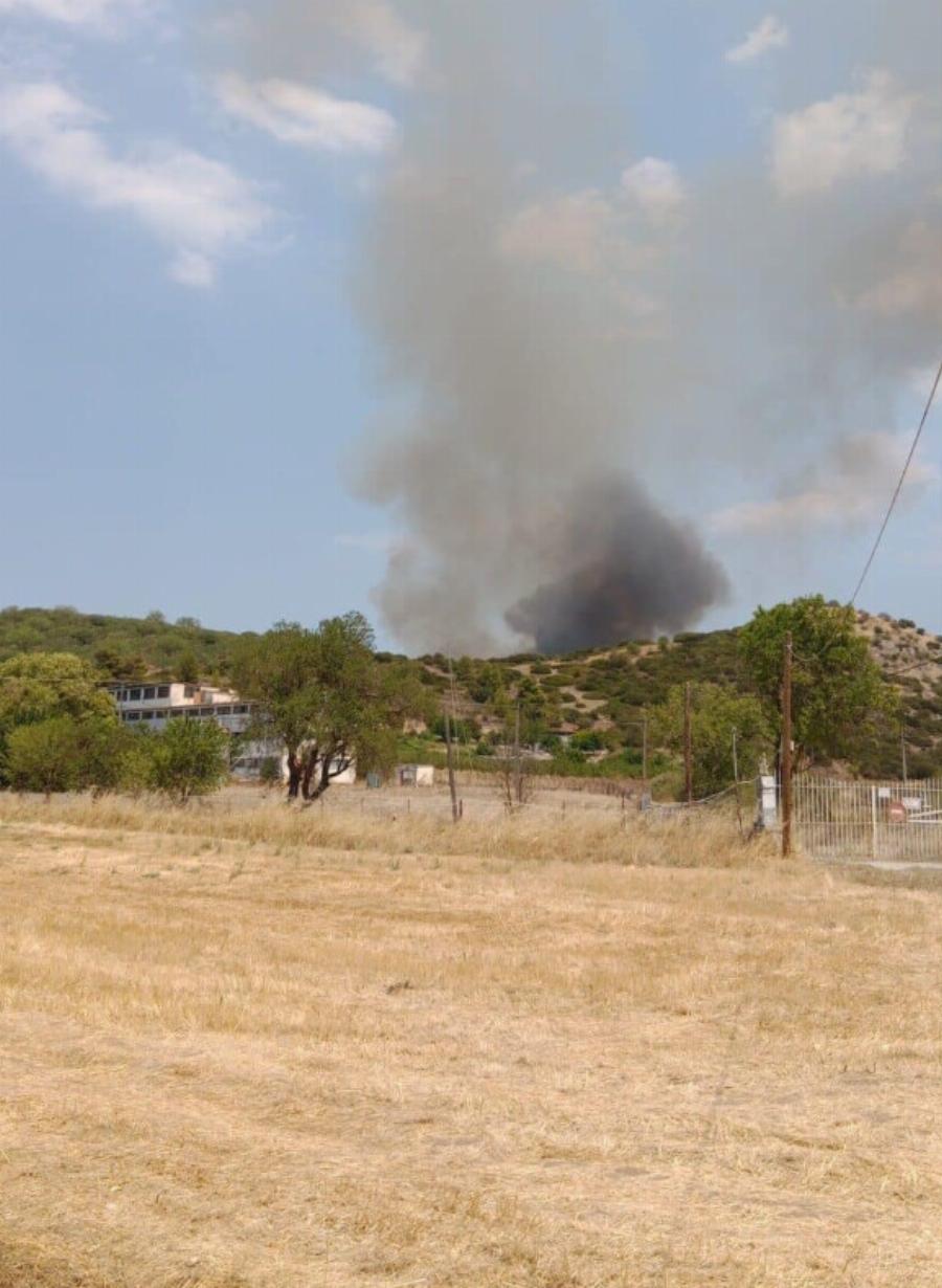 Μεγάλη φωτιά τώρα στην Αττική κοντά σε σπίτια – Έτοιμοι για εκκένωση οι κάτοικοι