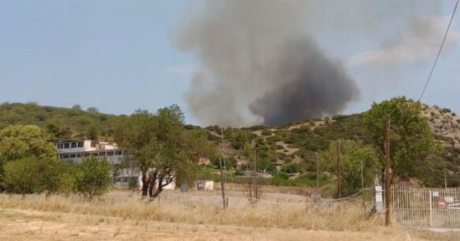 Μεγάλη φωτιά τώρα στην Αττική κοντά σε σπίτια – Έτοιμοι για εκκένωση οι κάτοικοι