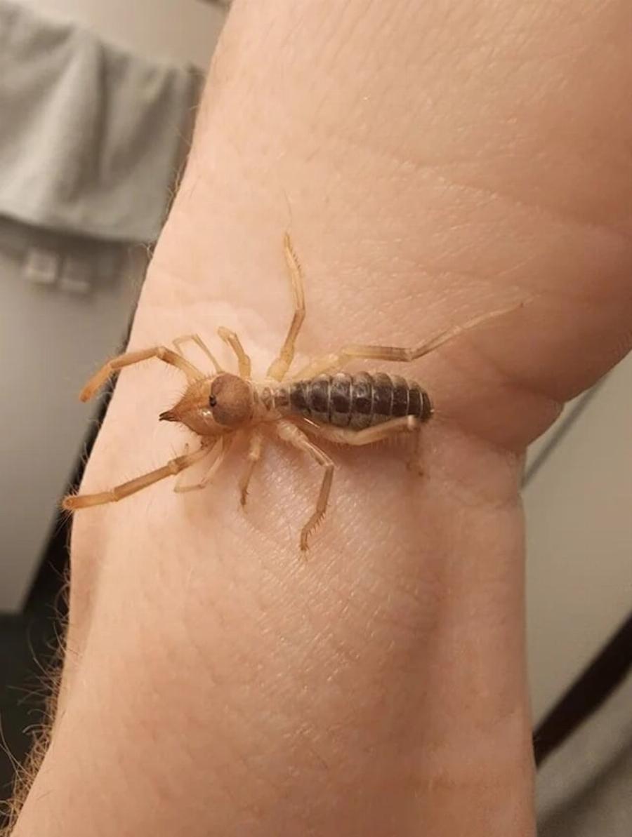 Τα έχω παντού στο αυτοκίνητό μου, τι είναι πάλι αυτό;