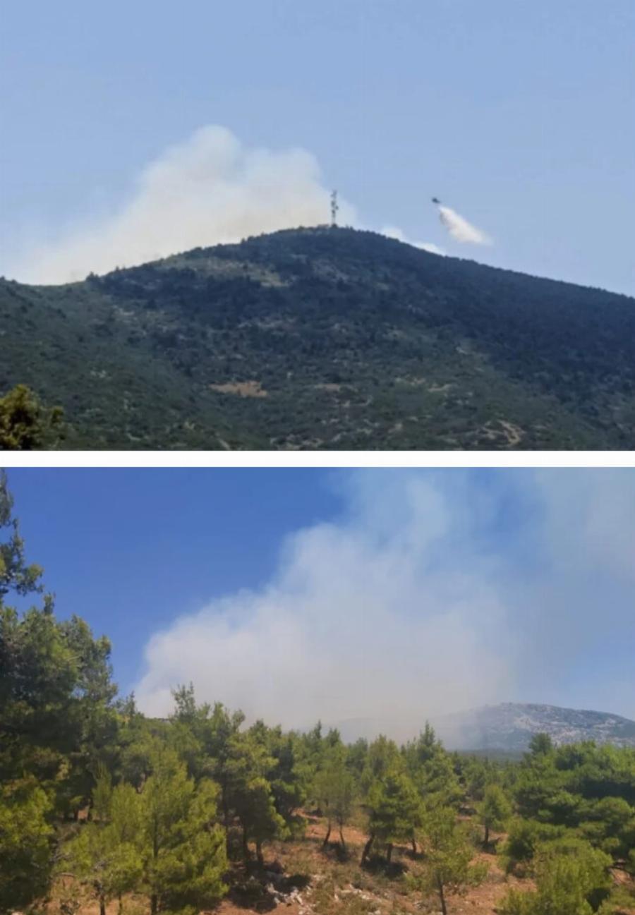 Φωτιά τώρα στην Αττική – Εκκενώνεται κατασκήνωση με παιδιά