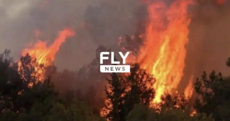 Καίγεται η Ελλάδα μας – Νέα ισχυρή πυρκαγιά τώρα!