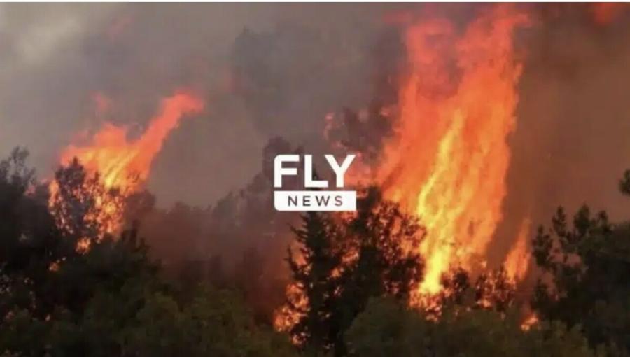 Καίγεται η Ελλάδα μας – Νέα ισχυρή πυρκαγιά τώρα!