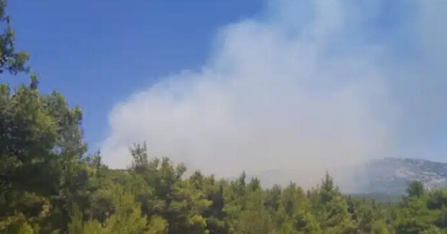 Φωτιά τώρα στην Αττική – Εκκενώνεται κατασκήνωση με παιδιά