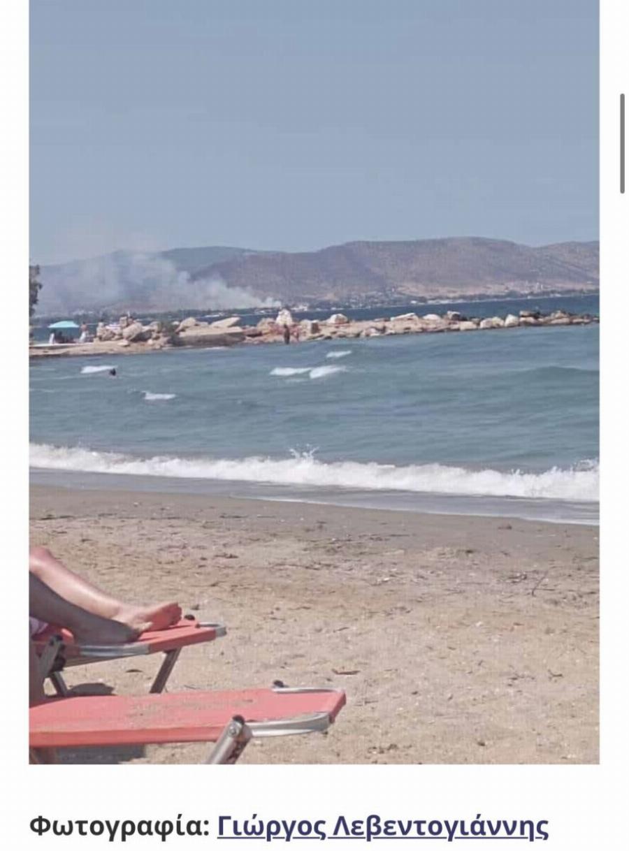 Ισχυρές δυνάμεις στην περιοχή Φωτιά στον Μαραθώνα, επιχειρούν και εναέρια μέσα – Ισχυρές δυνάμεις στην περιοχή