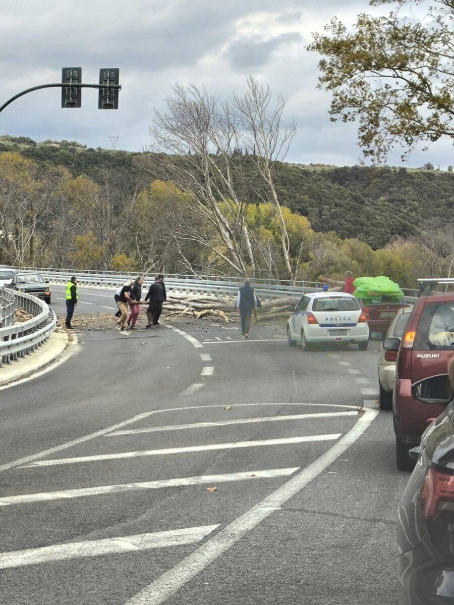 Έντρομοι οδηγοί στα Τέμπη – Κατέρρευσε τεράστιο δένδρο στο οδόστρωμα, από θαύμα αποφεύχθηκαν τα χειρότερα