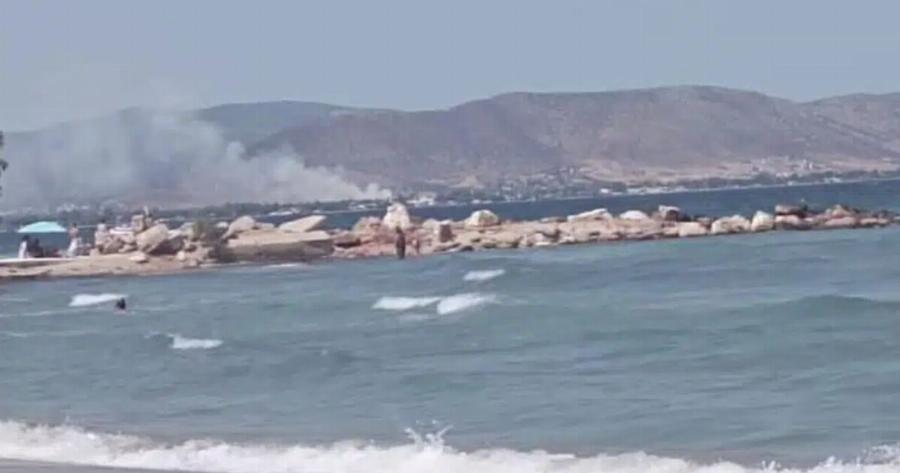 Ισχυρές δυνάμεις στην περιοχή Φωτιά στον Μαραθώνα, επιχειρούν και εναέρια μέσα – Ισχυρές δυνάμεις στην περιοχή