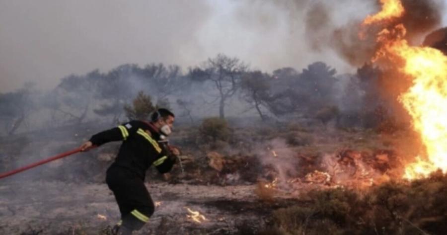 Φωτιά τώρα σε Σαλαμίνα και Παιανία: Δίνουν μάχη ισχυρές δυνάμεις της Πυροσβεστικής