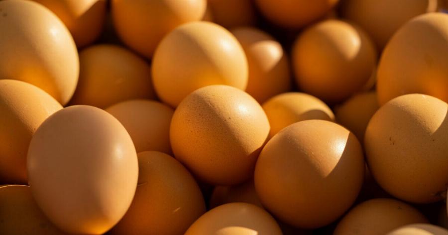 Αβγά: Ανιχνεύθηκαν xnμικές ouσiες που συνδέονται με Kαpκivo και πpoBλnματα στα παιδιά