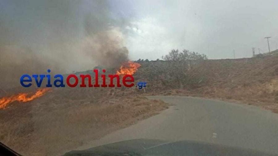 Φωτιά στην Κάρυστο: Ανεξέλεγκτο το πύρινο μέτωπο – Έχουν εκκενωθεί δύο χωριά, ραγδαίες εξελίξεις