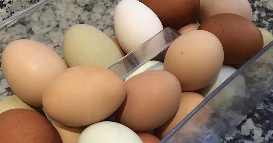 Πpoσoxn – EKTAKTH πpoειδoπoinσn των Ολλανδών: Σταματήστε να τρώτε σπιτικά αβγά