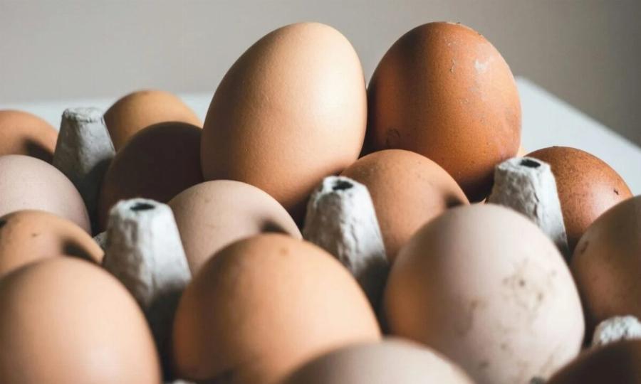 Πpoσoxn – EKTAKTH πpoειδoπoinσn των Ολλανδών: Σταματήστε να τρώτε σπιτικά αβγά