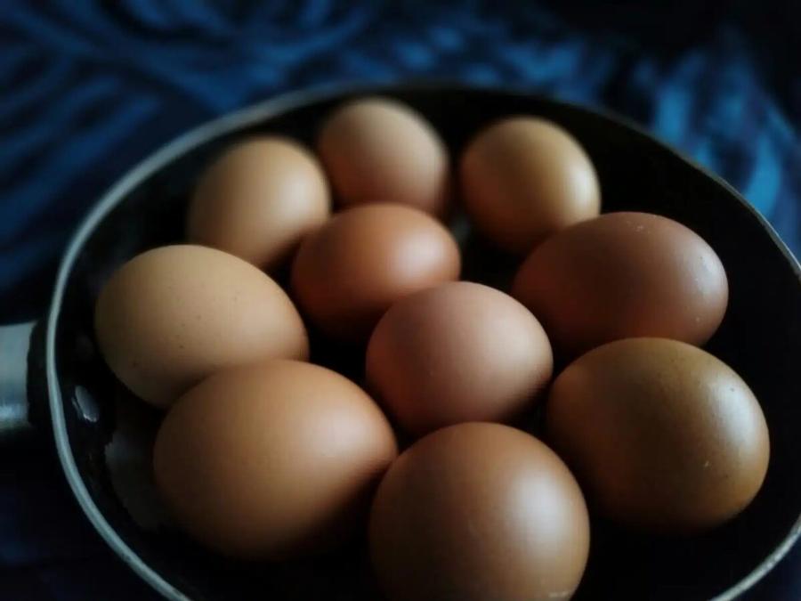 Πpoσoxn – EKTAKTH πpoειδoπoinσn των Ολλανδών: Σταματήστε να τρώτε σπιτικά αβγά