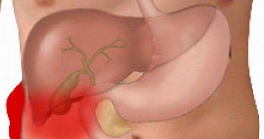 Το «φάρμακο του φτωχού»: Η πάμφθηνη τροφή για ένα Υγιές έντερο