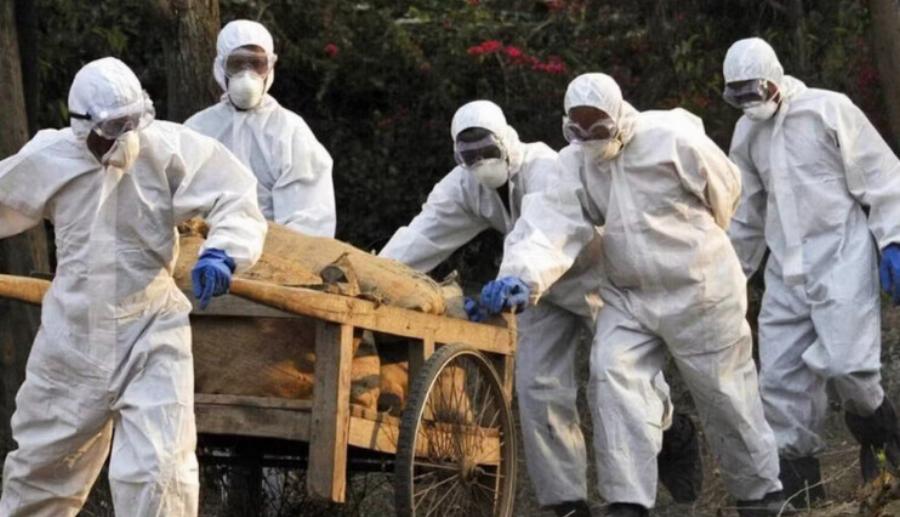 Παγκόσμιος συναγερμóς: Εμφανίστηκε θανατηφóρος ιός που δεν μπορεί να περιοριστεί – Τα συμπτώματα