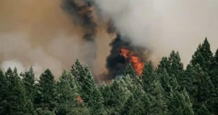 Νέα μεγάλη φωτιά τώρα – Εκκενώνεται η περιοχή – Συναγερμός στην Πυροσβεστική