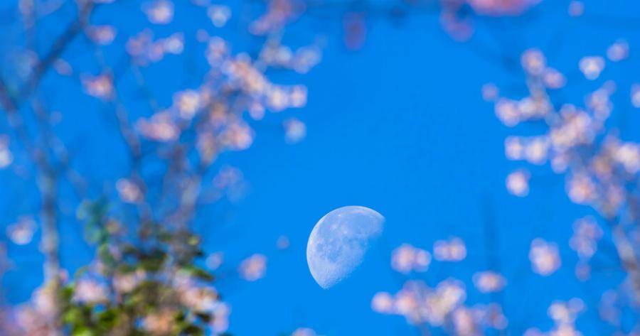 Πρωτομαγιά με Πανσέληνο: Τα ζώδια που ευνοούνται και εκείνο που πρέπει να προσέξει «Φεγγάρι των Λουλουδιών»