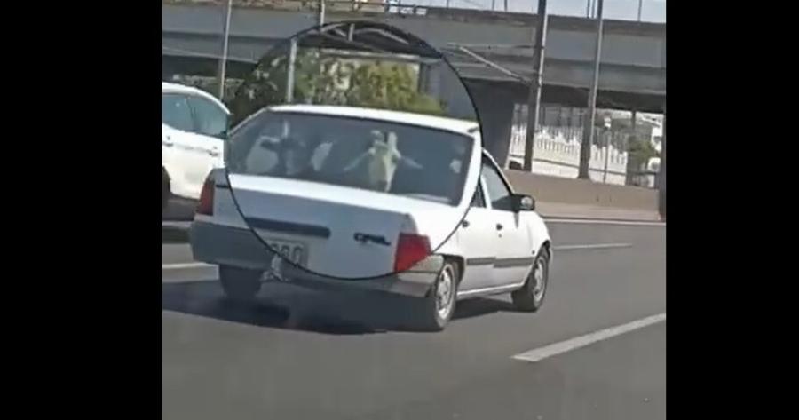 Αττική Οδός: Άνδρας μεταφέρει δύο γίδια μέσα σε Ι.Χ.! (video)
