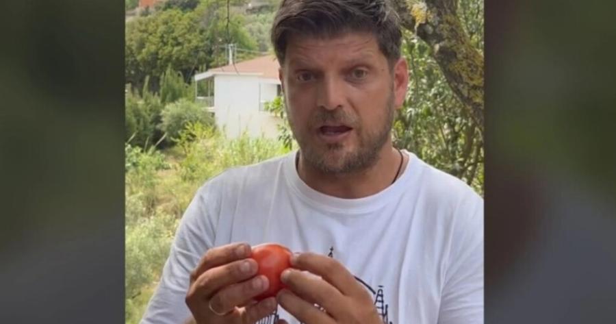 Μυστικό από Έλληνα αγρότη: Πώς να διαλέγετε γευστικές ντομάτες – Δεν έχει σχέση με το χρώμα
