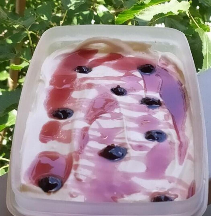 Το πιο εύκολο παγωτό μαστίχα με 4 υλικά – Χωρίς παγωτομηχανή!