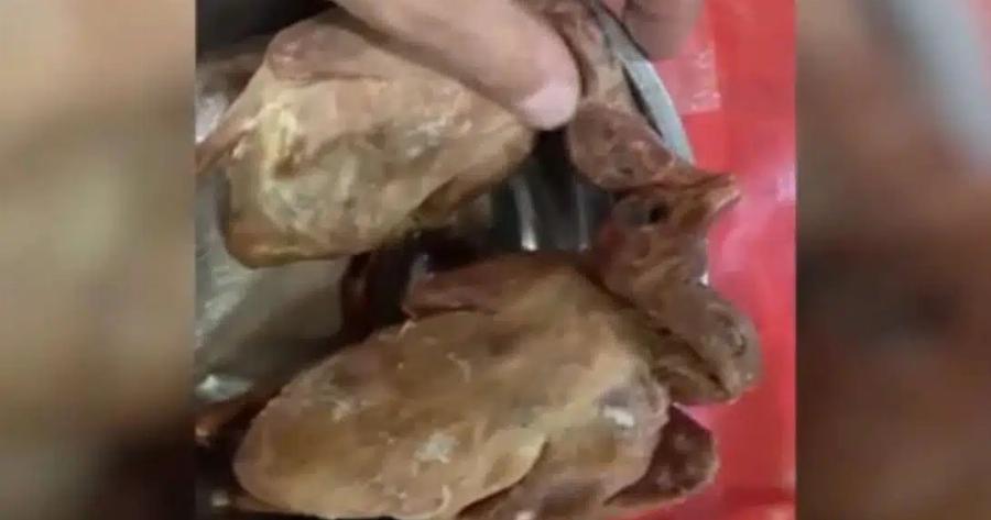 ΣOK: Εστιατόριο σέρβιρε στους πελάτες περιστέρια από τον δρόμο ως ψητή πάπια