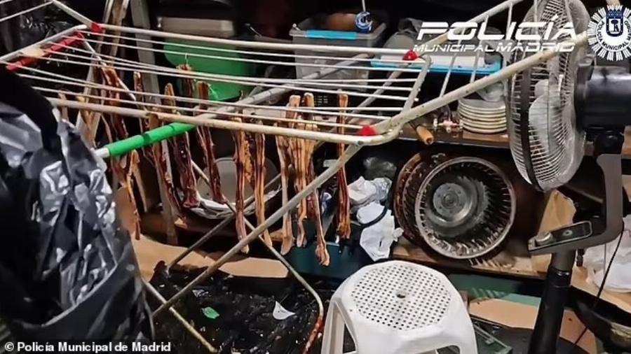 ΣOK: Εστιατόριο σέρβιρε στους πελάτες περιστέρια από τον δρόμο ως ψητή πάπια