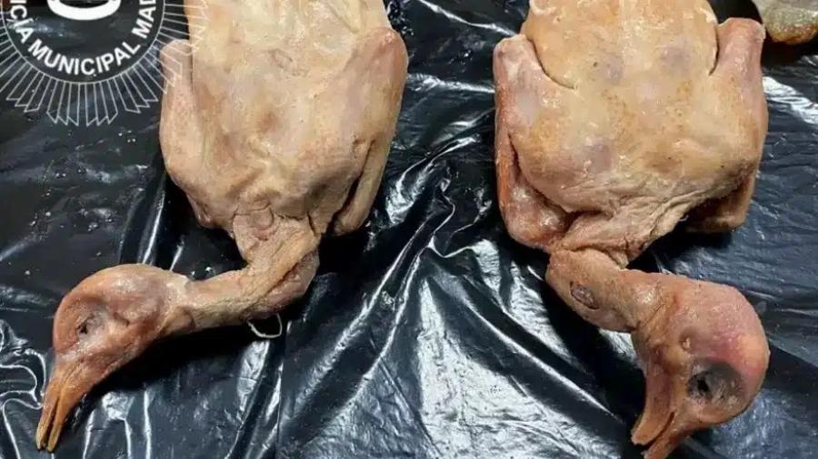 ΣOK: Εστιατόριο σέρβιρε στους πελάτες περιστέρια από τον δρόμο ως ψητή πάπια