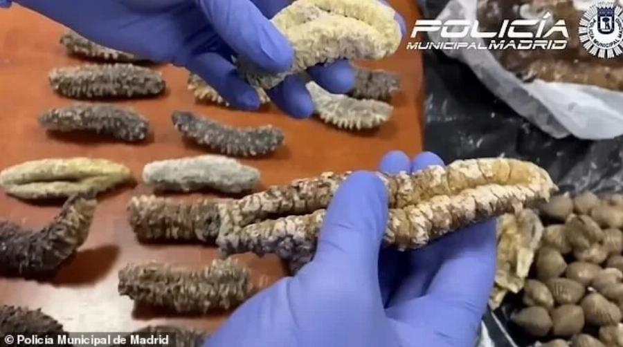 ΣOK: Εστιατόριο σέρβιρε στους πελάτες περιστέρια από τον δρόμο ως ψητή πάπια