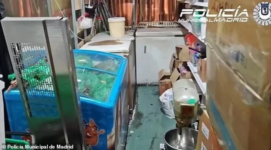 ΣOK: Εστιατόριο σέρβιρε στους πελάτες περιστέρια από τον δρόμο ως ψητή πάπια